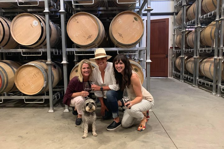 Vineyard Dog Love